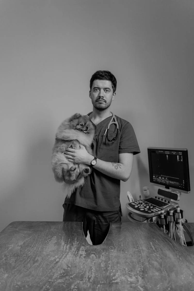 Veterinário domiciliar Rafael Fogaça Naliato - equipe